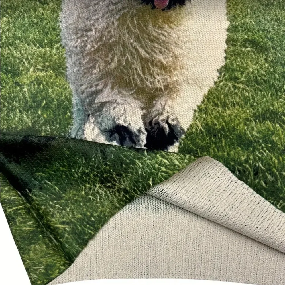 Sheep sweater - Picture 2 of 5